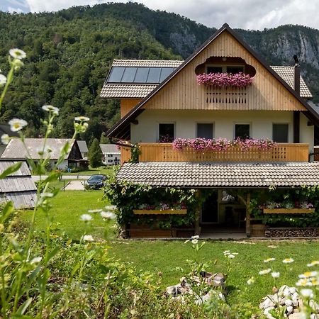 Trisa Apartments Bohinj Luaran gambar