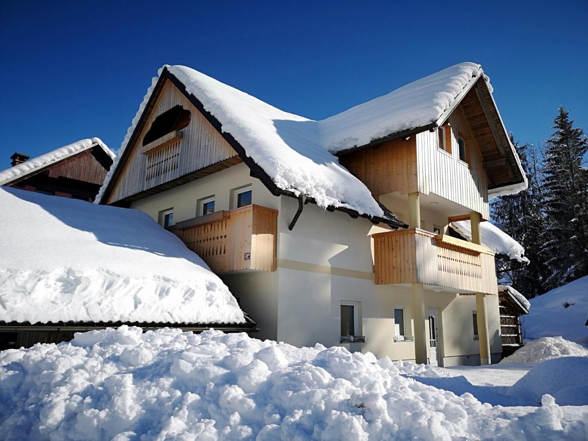 Trisa Apartments Bohinj Luaran gambar