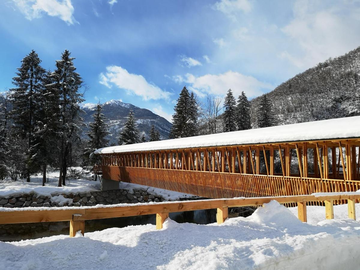 Trisa Apartments Bohinj Luaran gambar