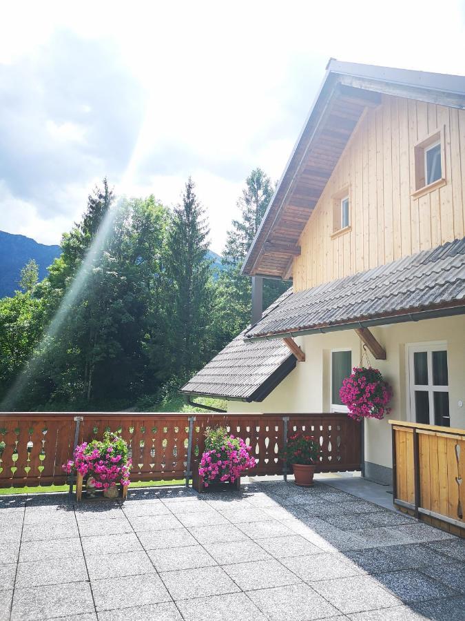 Trisa Apartments Bohinj Luaran gambar