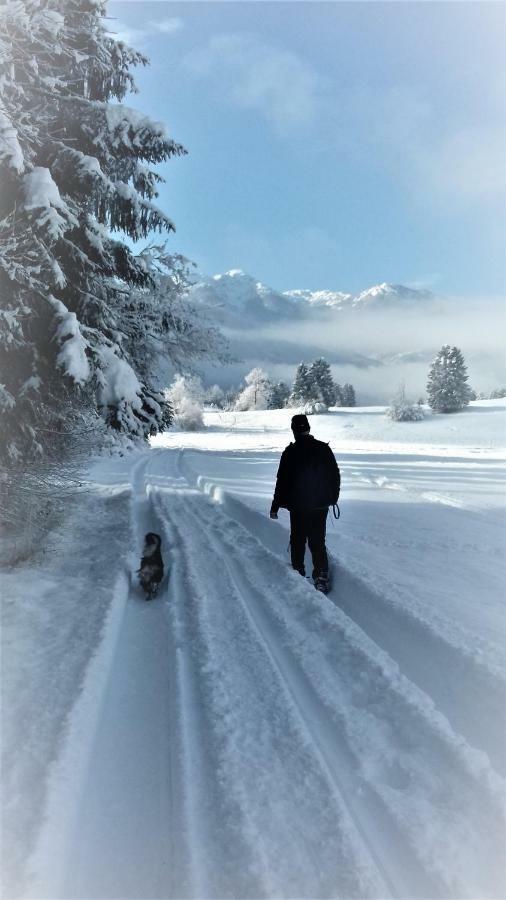 Trisa Apartments Bohinj Luaran gambar