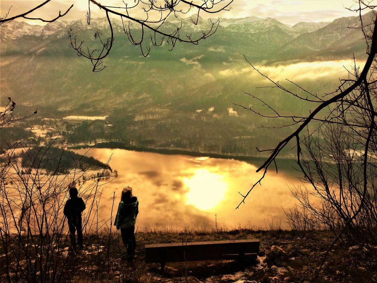 Trisa Apartments Bohinj Luaran gambar