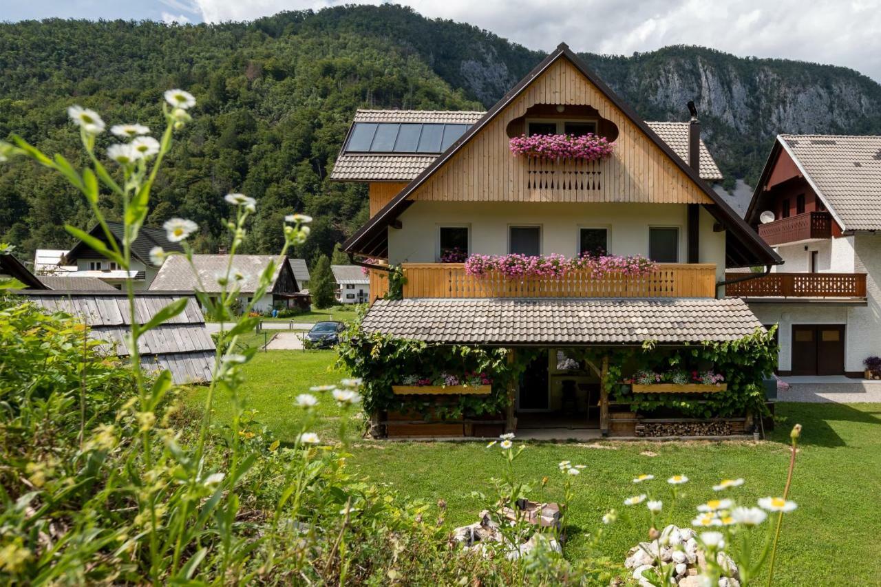 Trisa Apartments Bohinj Luaran gambar
