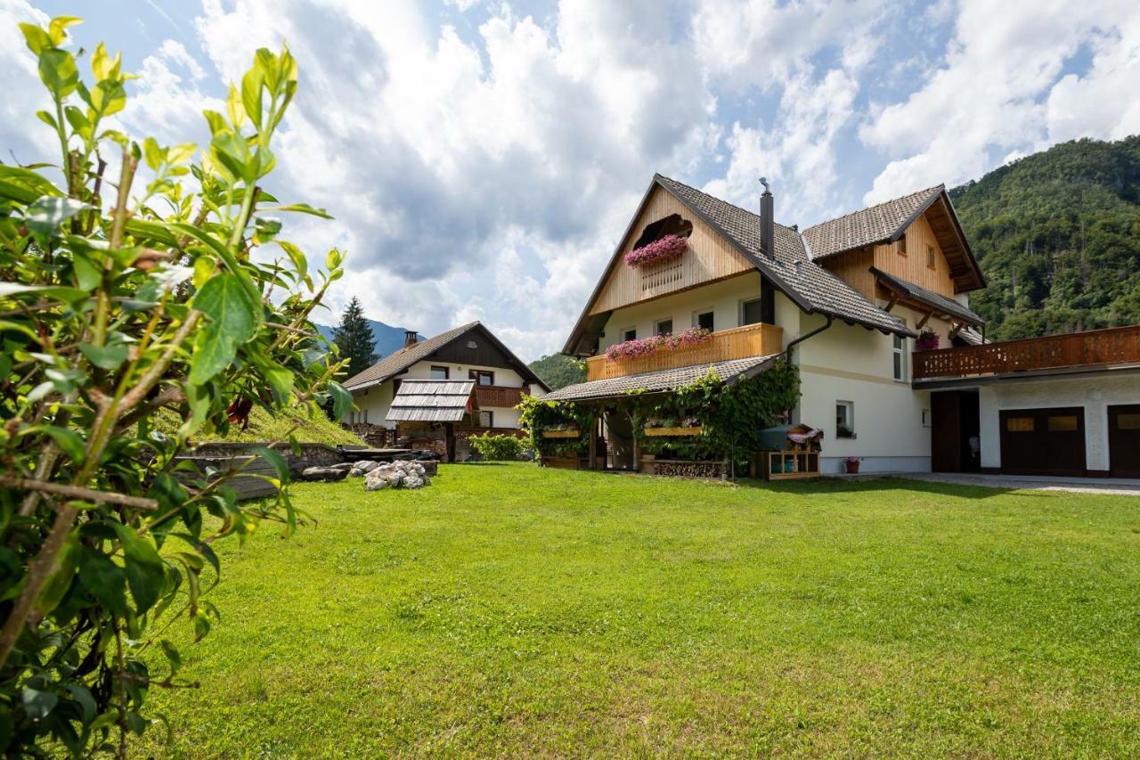 Trisa Apartments Bohinj Luaran gambar