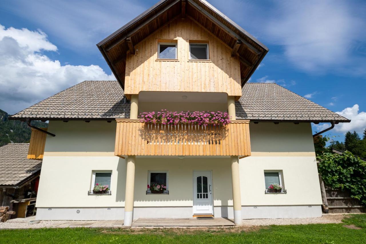 Trisa Apartments Bohinj Luaran gambar