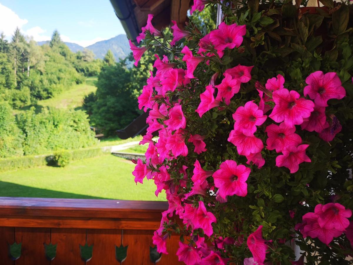 Trisa Apartments Bohinj Luaran gambar